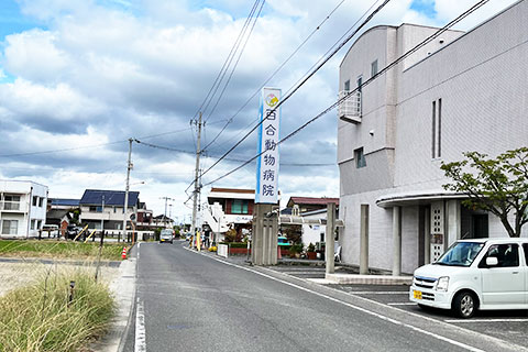 道案内